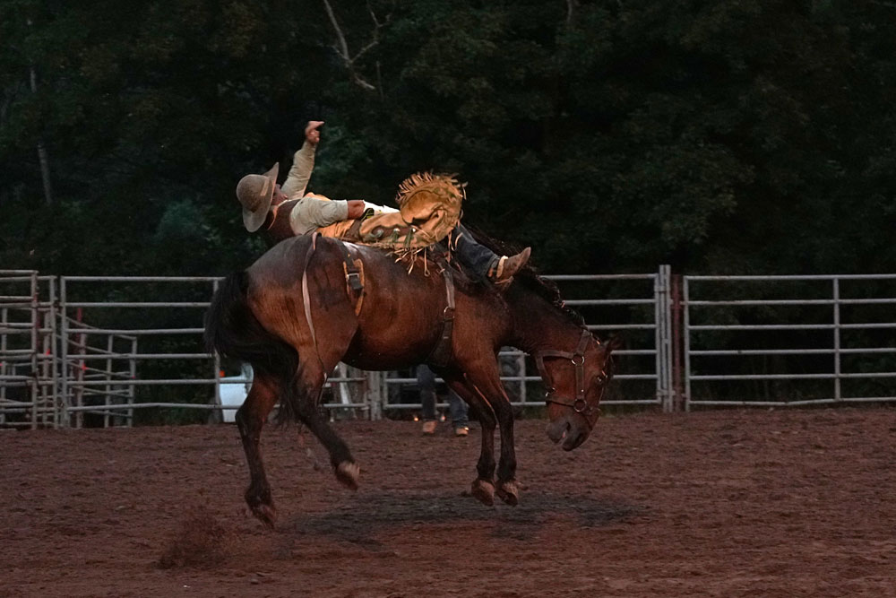 Benton Rodeo 2024